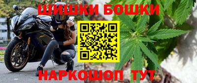 сатива Будённовск