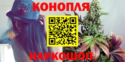 сатива Будённовск