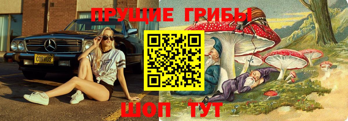 где продают наркотики  Псилоцибиновые грибы мицелий  Вход с VPN  Чернушка 