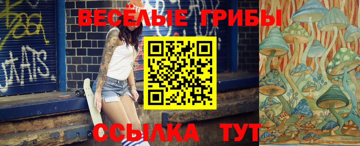 Псилоцибиновые грибы Magic Shrooms Чернушка